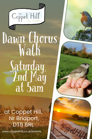 Dawn Chorus Walk